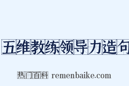 五维教练领导力造句是什么意思的图片